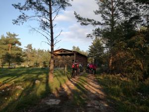 IMG_20170922_175645 (1024x768)